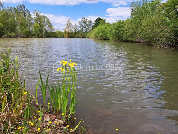 Terrain de loisirs de 8 100 m²