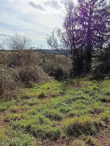 Grange avec dépendance et terrain