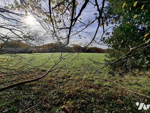 A VAL DE COGNAC - Maison de maître de 228m² hab sur 11 435m² de parc et 150m² de dépendances