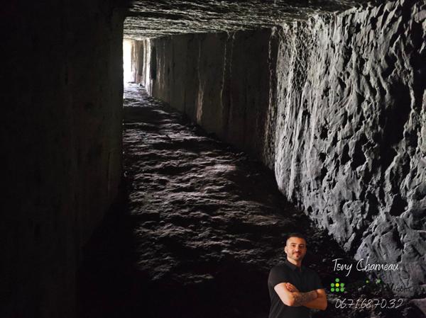 Maison 3 pièces - 64 m²