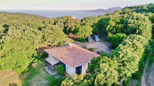 Située sur la commune d’Albitreccia à Bisinao, cette belle villa récente de plain-pied séduira les amoureux de nature et de tranquillité grâce à sa vue dégagée sur le maquis et les montagnes corses.
Son emplacement privilégié permet de profiter pleinement des richesses de la région : balades, randonnées et découverte des villages typiques de Corse, tout en restant à proximité des magnifiques plages de Porticcio et de la plage de Cupabia, au cœur du Golfe du Valinco.

À seulement 20 minutes d’Ajaccio, la maison allie fonctionnalité, confort et charme. Son agencement harmonieux s’articule autour d’un vaste espace de vie lumineux, ouvert sur une grande terrasse aménagée dominant le jardin en contrebas.
La distribution intérieure a été pensée pour offrir confort et intimité : chambres, suite parentale, bureau et salle d’eau se répartissent naturellement de part et d’autre de la pièce principale. La cuisine moderne, discrète et parfaitement fonctionnelle, dispose également d’un cellier attenant.
À l’arrière de la maison, vous bénéficierez d’un garage entièrement isolé ainsi que de plusieurs places de stationnement ombragées.

Les extérieurs complètent idéalement l’ensemble avec : un garage aménagé de 18 m² ; un abri de jardin de 40 m² ; un terrain clos et arboré de 2 750 m².
Équipements : portail électrique, interphone, caméras, puits de forage et éclairage extérieur du jardin.

Un véritable havre de paix à seulement quelques minutes d’Ajaccio et des plus belles plages du sud de la Corse.
Contactez nous dès aujourd’hui pour organiser une visite et découvrir tout le potentiel de cette propriété unique.
Pour toutes demandes d’informations, Tél. 06.28.04.74.47

Cette annonce référencé 335892 vous est présentée par votre agent commercial BSK Immobilier DOMINIQUE LARROCHE (EI) immatriculé au RSAC de AJACCIO (20000) sous le numéro 37842868400054.
Prix du bien : 541 000,00 € / Les honoraires d'agence sont à la charge du vendeur.