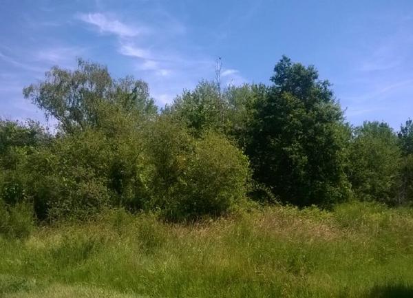 Terrain à vendre    Dhuizon