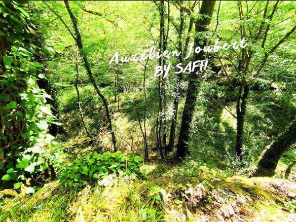 PROPRIÉTÉ DE CARACTÈRE –  9 HECTARES DE NATURE