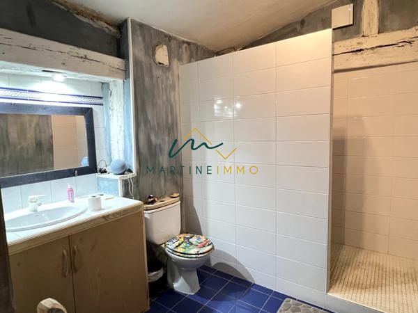 A VENDRE MAISON PIERRE 400M² AVEC PISCINE