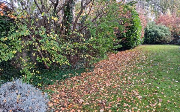 Appartement à vendre    4 pièces •  Sannois