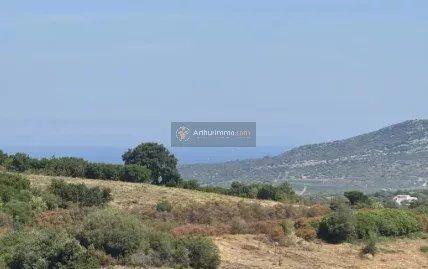 Vente Appartement 1 pièces 16 m2 à Olmeta-Di-Tuda