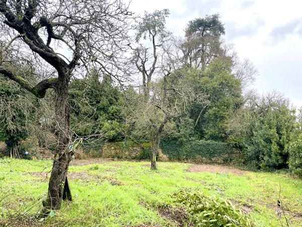 Terrain Moutiers Les Mauxfaits 480 m2