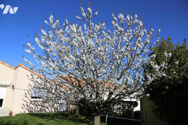 LA SEGUINIERE MAISON 4 CHAMBRES