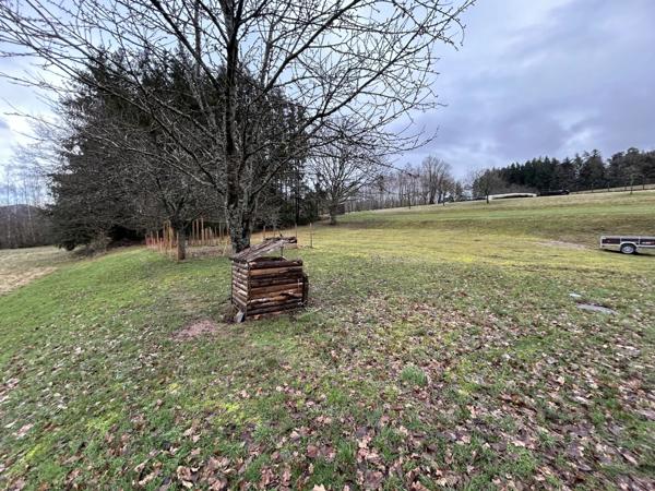 Vente Maison 7 pièces 160 m2 à Provenchères-sur-Fave