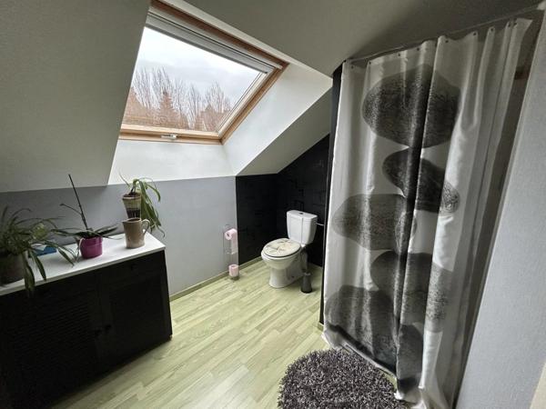 Vente Maison 7 pièces 160 m2 à Provenchères-sur-Fave