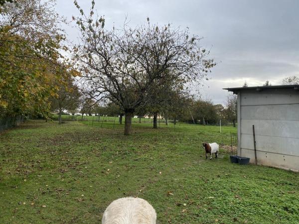 Maison à vendre à Beaulieu dans le Calvados (14350), ref : 14076-5787