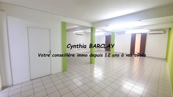 Locaux d'activité à RIVIERE SALEE (97215)