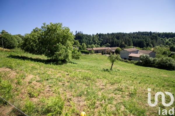 Terrain à vendre 2 663 m² Saint-Martin-des-Olmes
