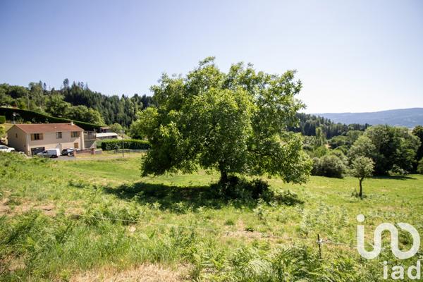 Terrain à vendre 2 663 m² Saint-Martin-des-Olmes