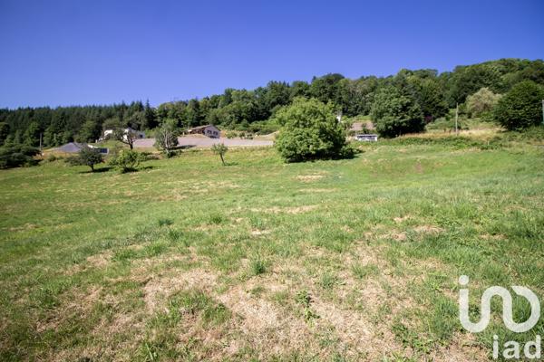 Terrain à vendre 2 663 m² Saint-Martin-des-Olmes