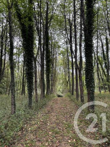 Maison à vendre  4 pièces - 65,44 m2 DOMPIERRE - 61