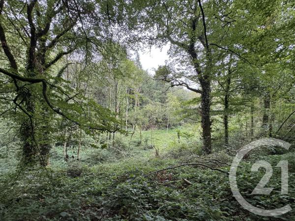 Maison à vendre  4 pièces - 65,44 m2 DOMPIERRE - 61