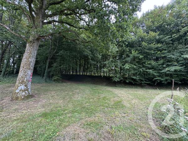 Maison à vendre  4 pièces - 65,44 m2 DOMPIERRE - 61