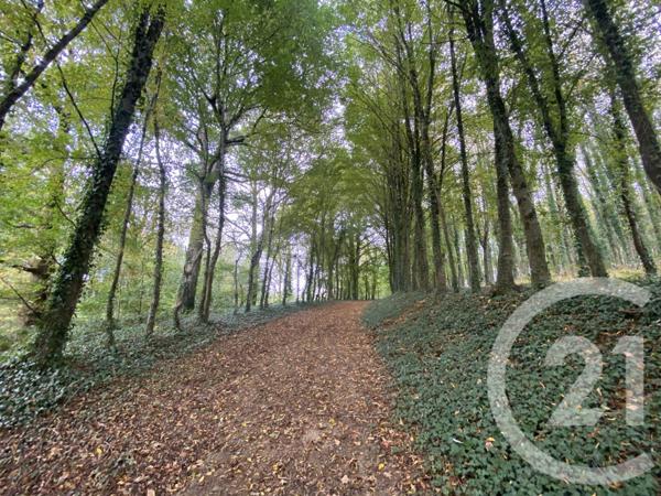 Maison à vendre  4 pièces - 65,44 m2 DOMPIERRE - 61