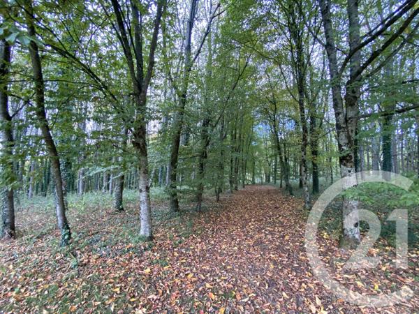 Maison à vendre  4 pièces - 65,44 m2 DOMPIERRE - 61