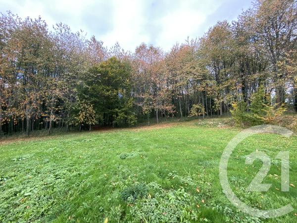 Maison à vendre  4 pièces - 65,44 m2 DOMPIERRE - 61