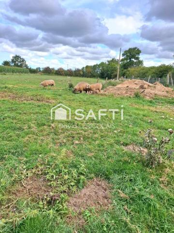 2 GRANDES MAISONS AVEC TERRAIN ET DEPENDANCES
