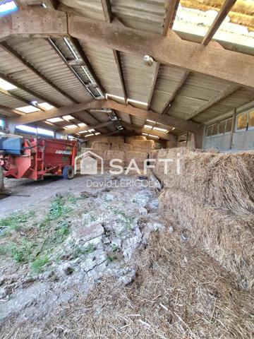 2 GRANDES MAISONS AVEC TERRAIN ET DEPENDANCES