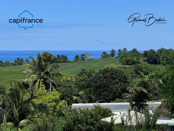 Terrain à vendre SAINTE ROSE (971)