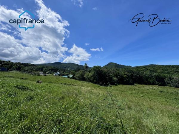 Terrain à vendre SAINTE ROSE (971)