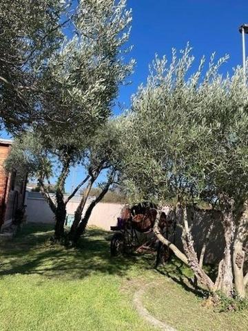 Divers à vendre à Montbazin dans l'Hérault (34560), ref : 1049469