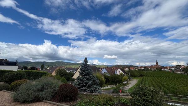 Maison Wintzenheim 10 pièce(s) 299.77 m2