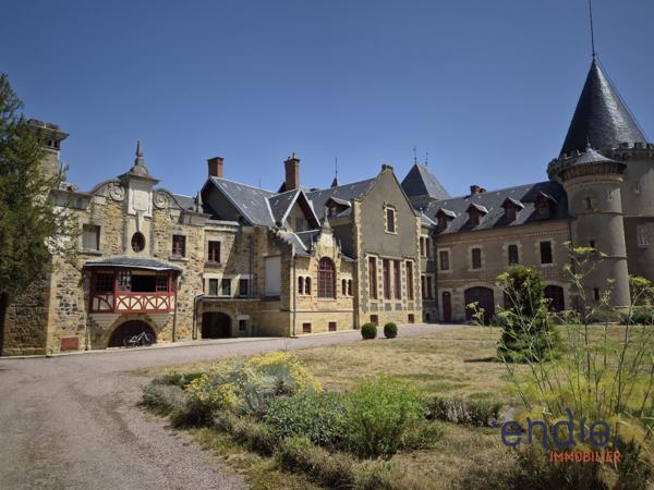 CHATEAU DU XV° & XIX° AVEC PARC DE 23ha et Plaine