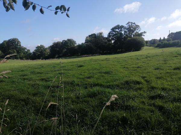 maison de maître entourée de verdure et forêt
