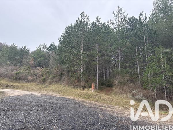 Terrain à vendre 240 000 m² Roquetaillade-et-Conilhac
