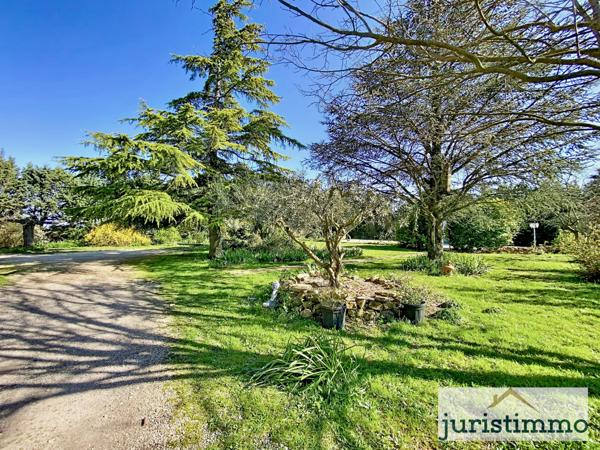 Piolenc (84420) Grande maison familiale 175 m2 sur parcelle 5 000 m2