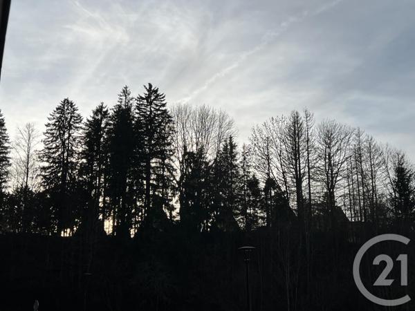 Appartement Studio Cabine à vendre  1 pièce - 26,44 m2 METABIEF - 25