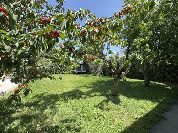 Maison PLAIN PIED Montfavet 3 pièces 153m² et 784m² de terrain