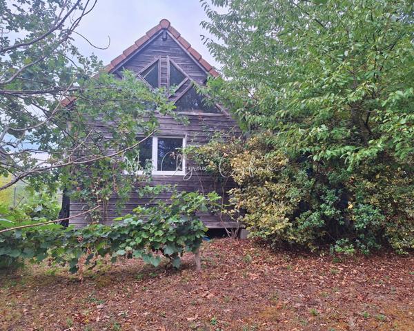 Maison au calme - 3 pièces - Jardin 1 780 M² - ALLASSAC (19)