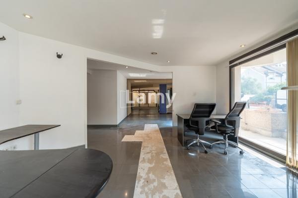 Local professionnel / commercial