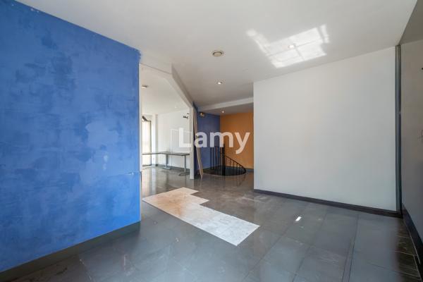 Local professionnel / commercial