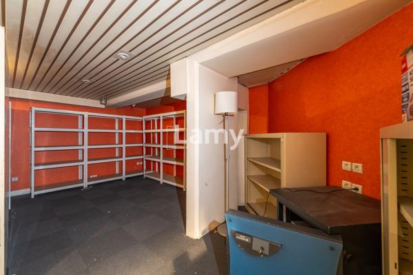 Local professionnel / commercial