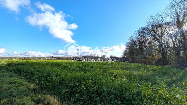 Terrain constructible de 1700m², commune calme