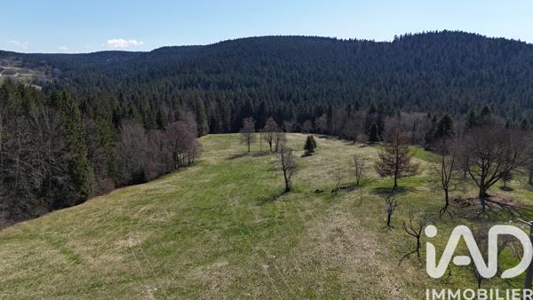Terrain à vendre 19 000 m² Liézey