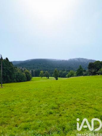 Terrain à vendre 19 000 m² Liézey
