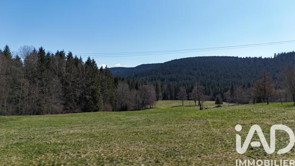 Terrain à vendre 19 000 m² Liézey