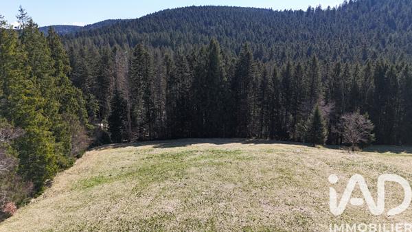 Terrain à vendre 19 000 m² Liézey