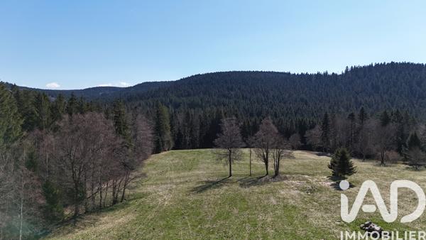 Terrain à vendre 19 000 m² Liézey