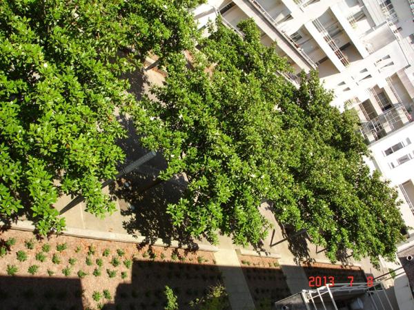 PROCHE QUAI DE VERSAILLES T1,  
Nantes 44000