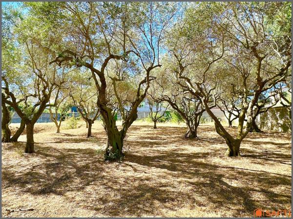 Maison familiale avec garage et grand terrain clôturé