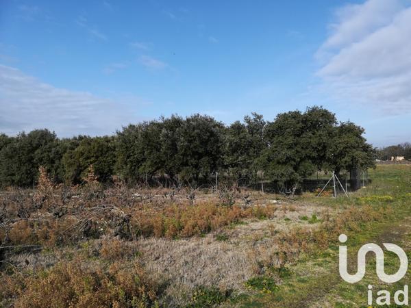Terrain à vendre 1 368 m² Sainte-Cécile-les-Vignes